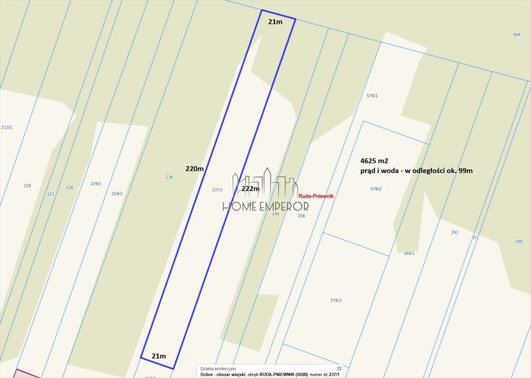 Działka budowlana na sprzedaż Ruda-Pniewnik  4 625m2 Foto 1