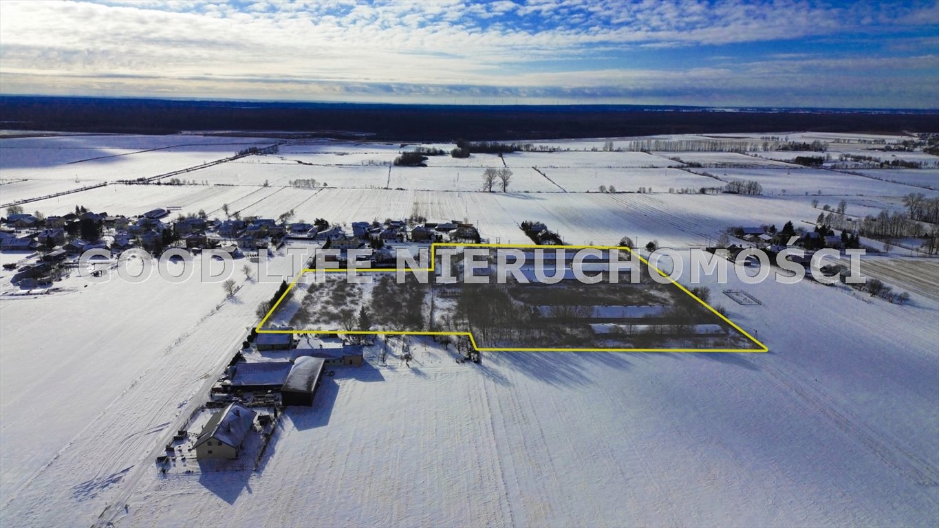 Magazyn, biuro i duża działka 3,7 ha w Zalesiu Stare Sioło, Zalesie, Zalesie  370 000m2 Foto 1