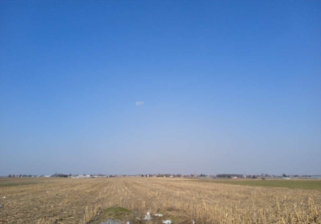 Działka rolna 2,07 ha z dostępem do mediów i szybkim dojazdem Żelazków, Kolonia Skarszewek  20 700m2 Foto 1