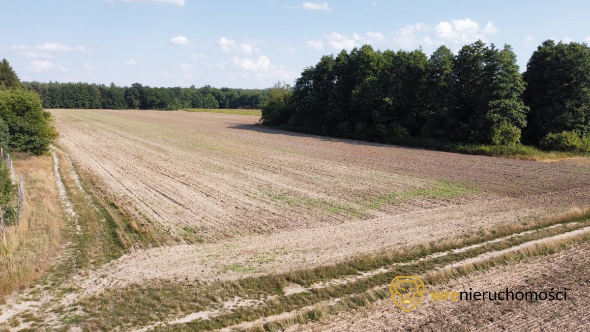 Działka budowlana na sprzedaż Poniatowice  86 627m2 Foto 5