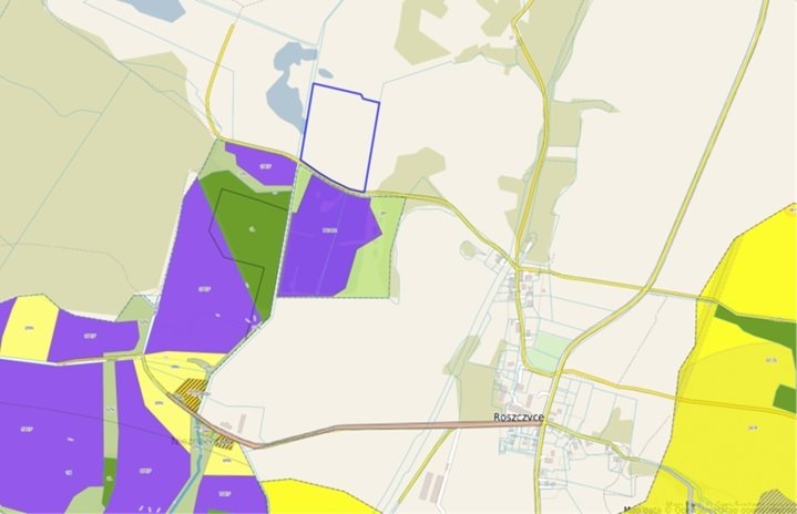 Atrakcyjna działka 65 700 m² w Roszczycach – idealna pod inwestycję Roszczyce  65 700m2 Foto 1