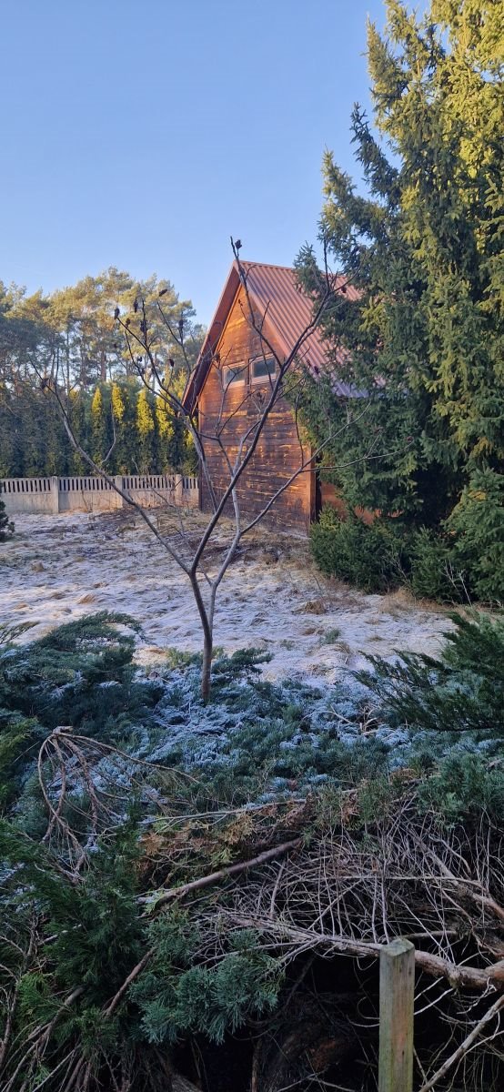 Malownicza działka 3000 m² z hangarem i możliwością podziału Czmoniec  3 000m2 Foto 1