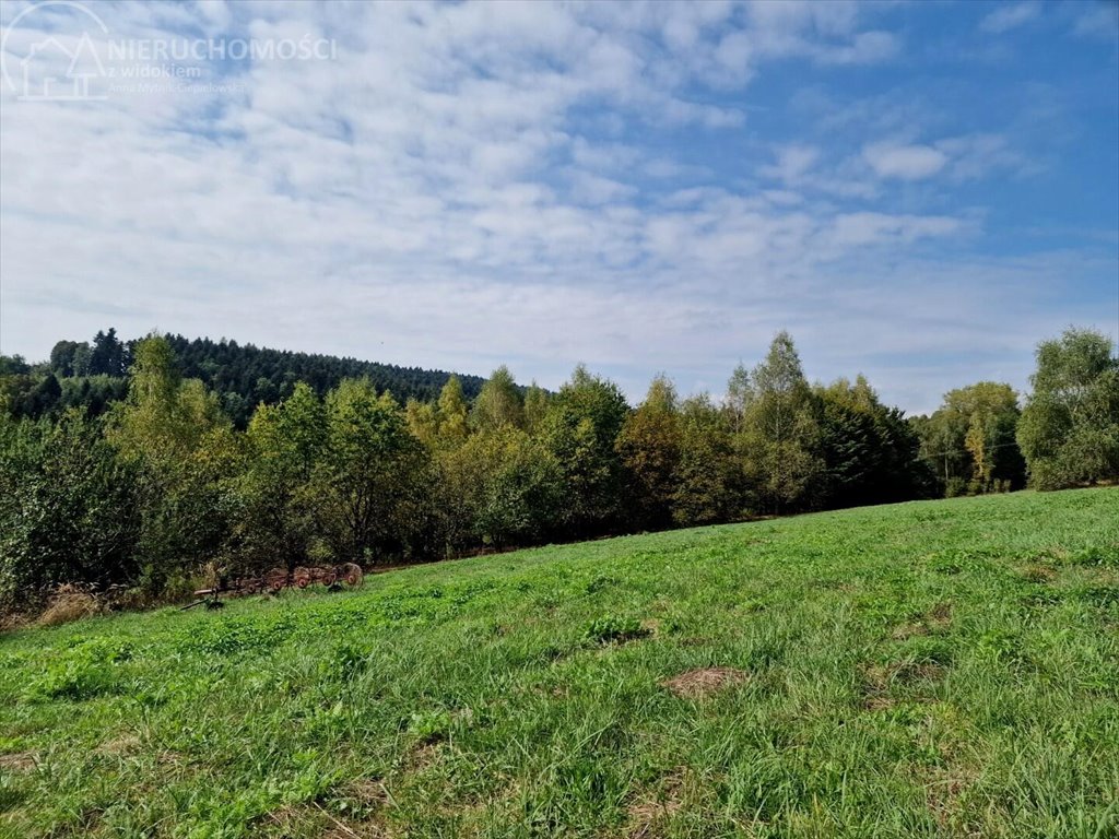 Działka budowlana na sprzedaż Tuchów  4 632m2 Foto 13