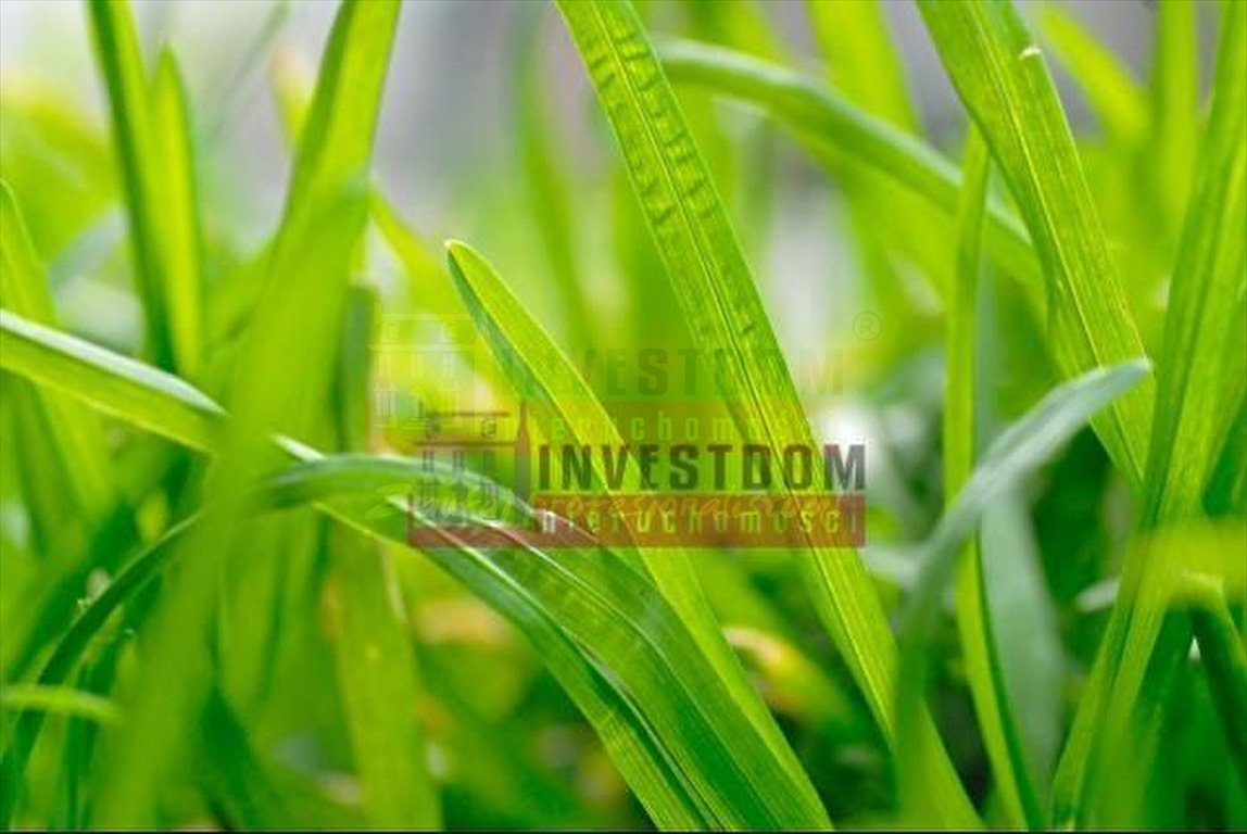 Działka 4,8 ha w Karłowicach z mediami i dobrym dojazdem Karłowice  4 800m2 Foto 1