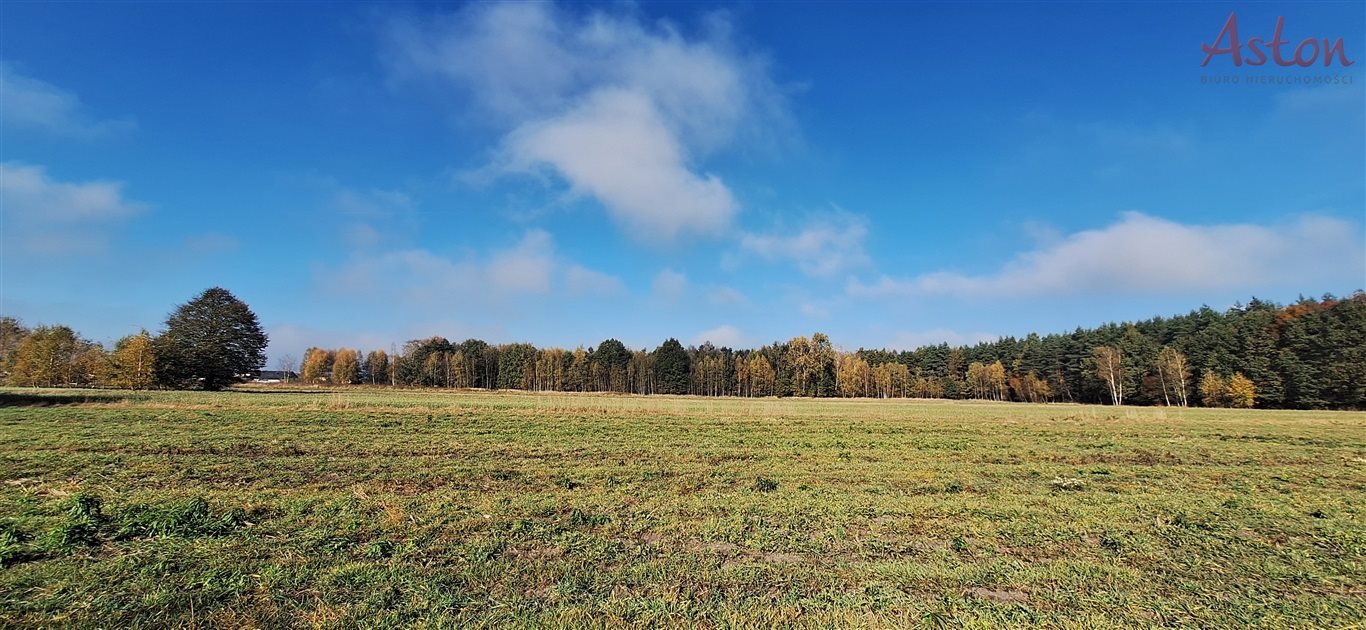 Działka inna na sprzedaż Nowe Bojszowy  841m2 Foto 11