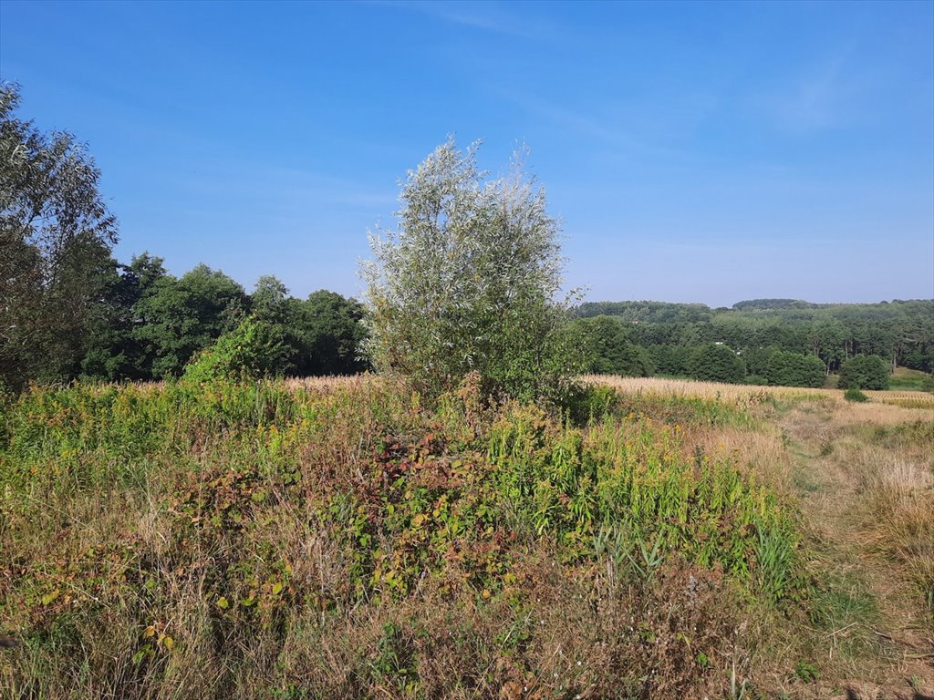 Działka budowlana na sprzedaż Krobia  1 506m2 Foto 2