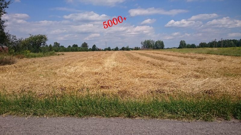 Działka inwestycyjna 23 400 m² w Dzięglewie z voucherem Dzięglewo  23 400m2 Foto 1