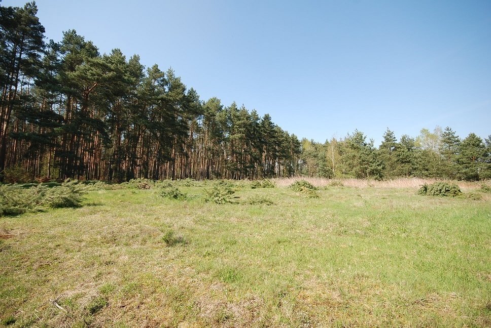 Działka budowlana na sprzedaż Grodzanów  1 000m2 Foto 2