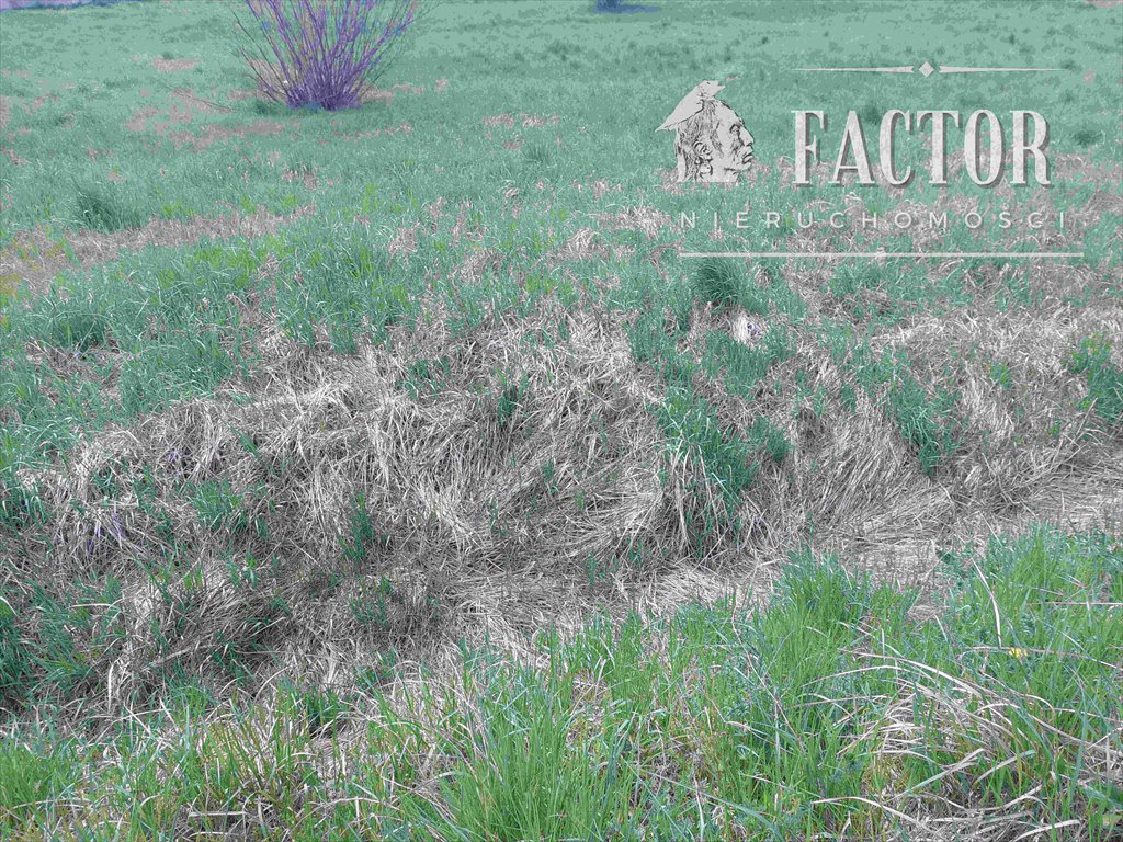 Działka budowlana 1800 m² w Lipinkach z dostępem z dwóch stron Lipinki  1 800m2 Foto 1