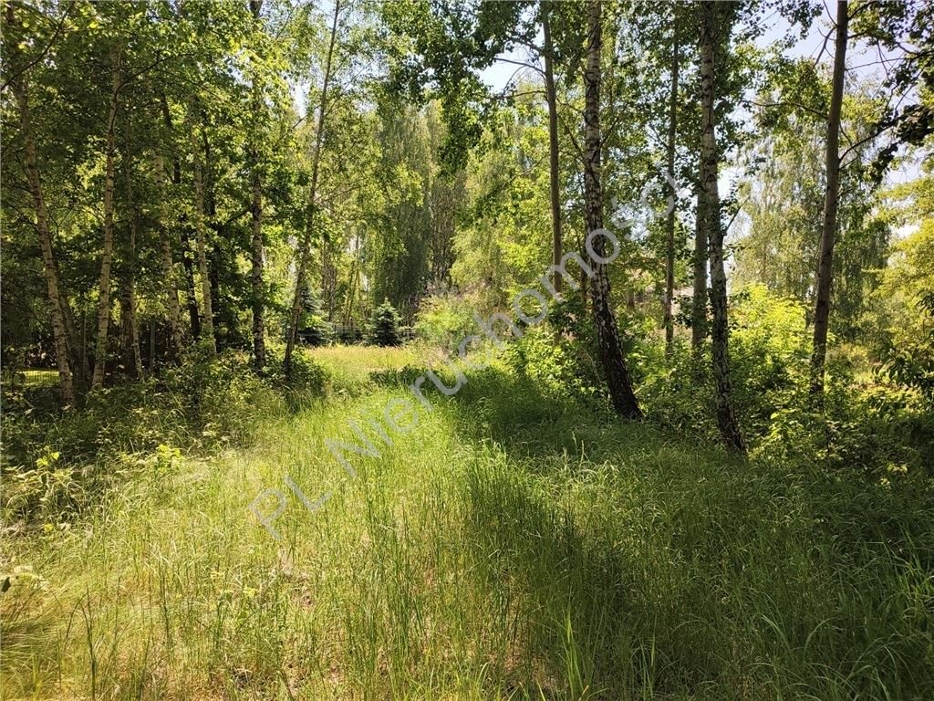 Działka budowlana na sprzedaż Czarny Las  1 500m2 Foto 1