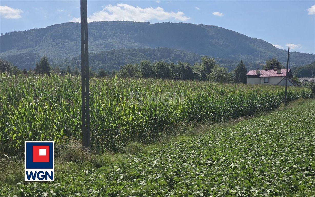 Działka rolna na sprzedaż Równia  3 218m2 Foto 1