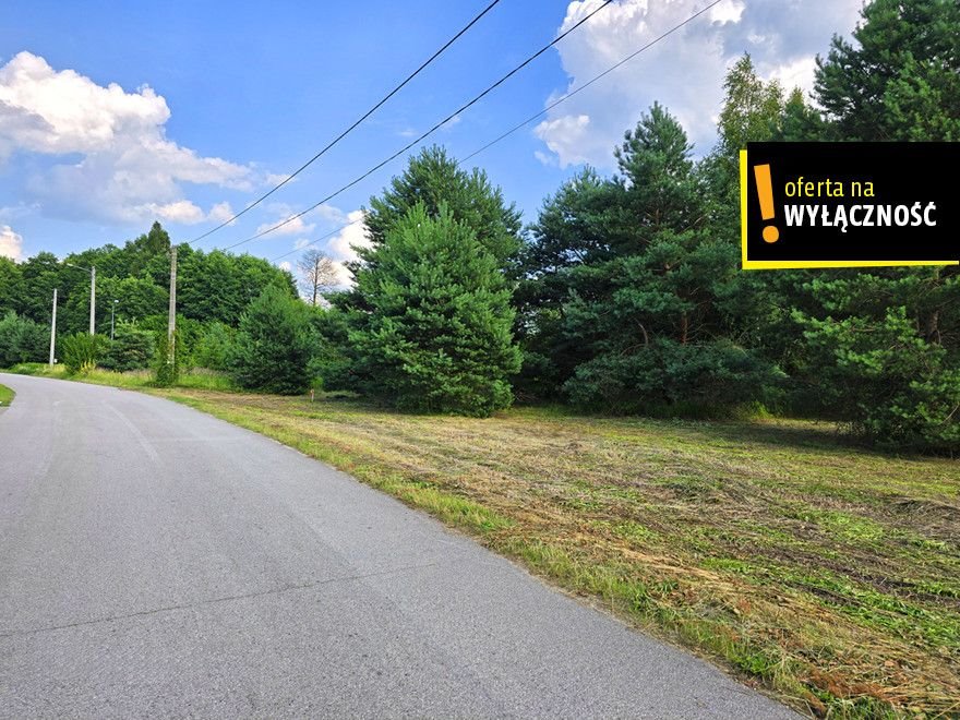 Urokliwa działka 6500 m² z lasem i zabytkami zapraszam Strzegomek  6 500m2 Foto 1