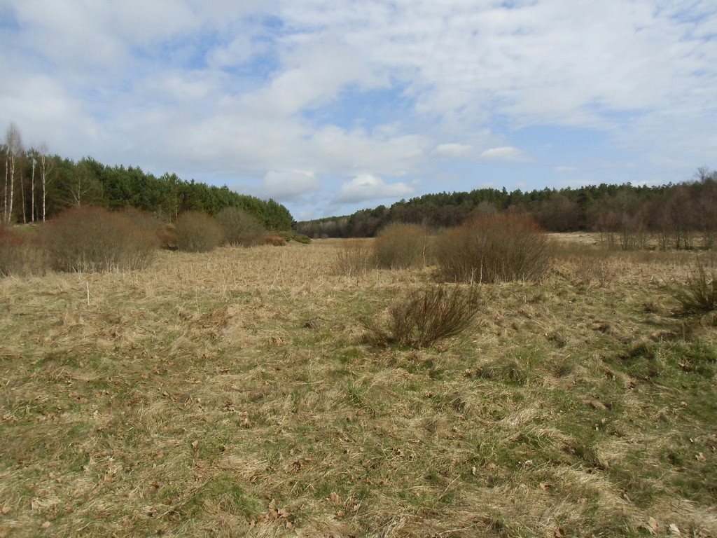 Działka rolna na sprzedaż Tawęcino  136 800m2 Foto 11