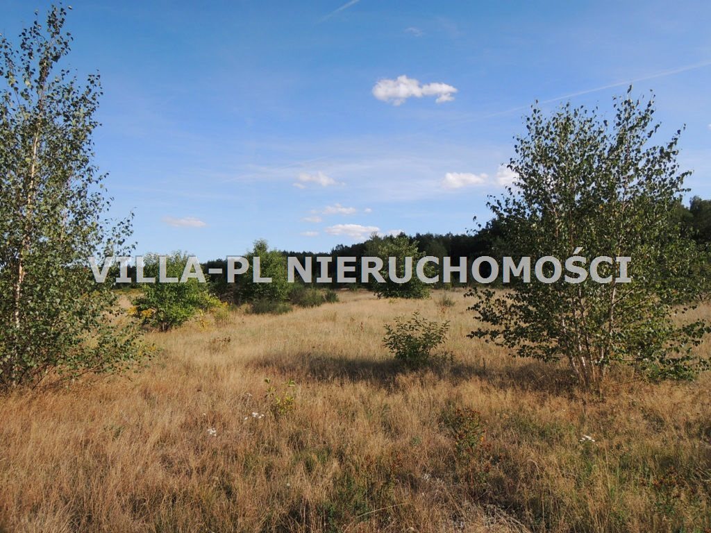 Działka budowlana na sprzedaż Dąbrówka Wielka 3 000m2 Foto 1 Działka budowlana na sprzedaż Dąbrówka Wielka 3 000m2 Foto 1