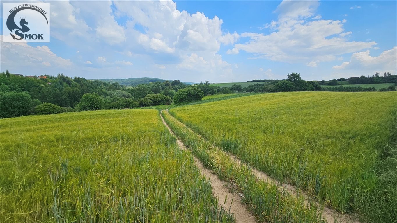 Zapraszam do zakupu działki rolnej z widokiem 1,07 ha w Krasieńcu Krasieniec Zakupny  10 690m2 Foto 1