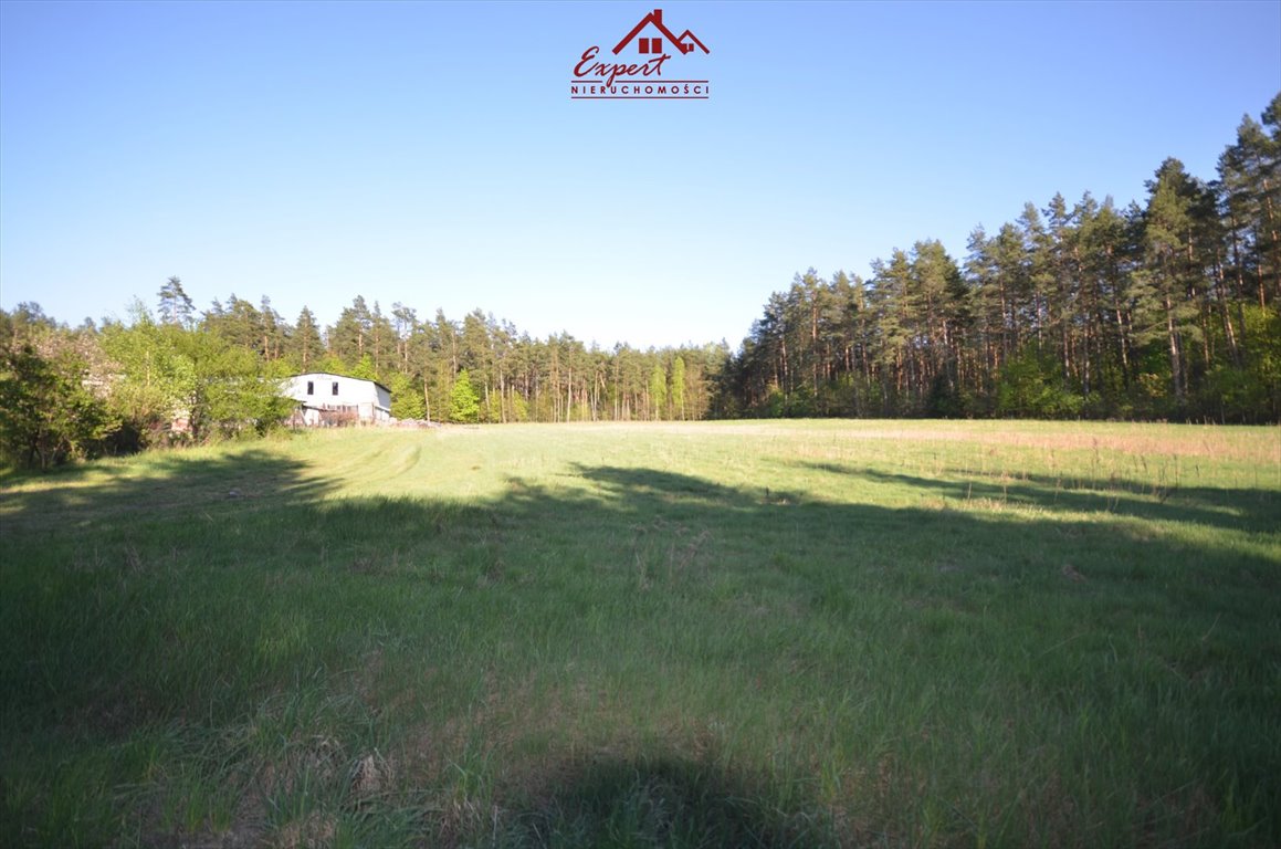 Działka inna na sprzedaż Turznica  3 000m2 Foto 4