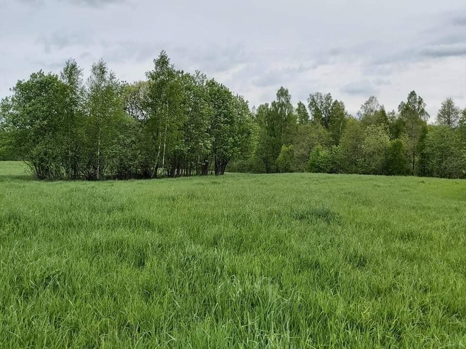 Działka gospodarstwo rolne na sprzedaż Mierkinie  104 070m2 Foto 4