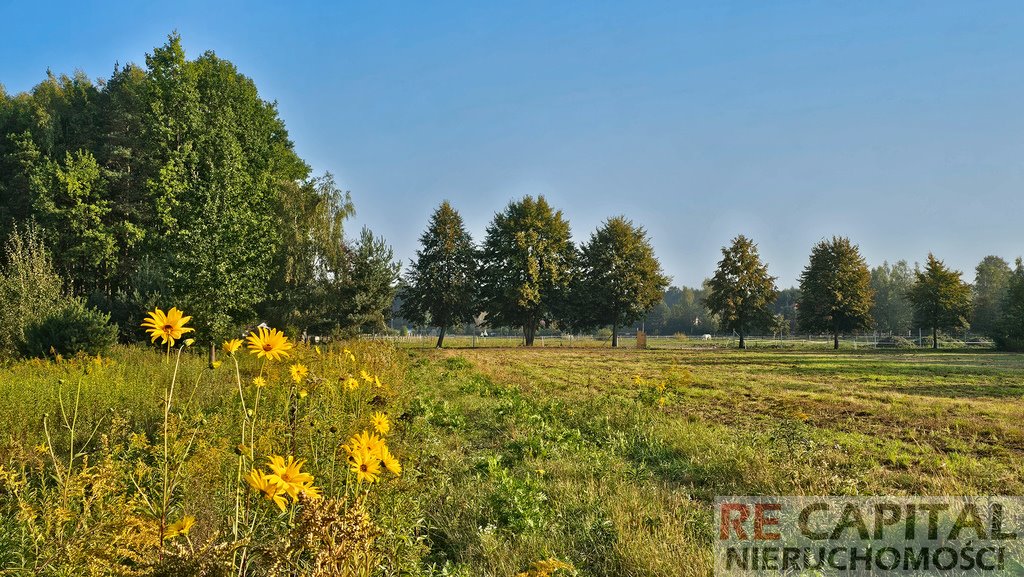 Działka budowlana na sprzedaż Borzęcin Duży  1 500m2 Foto 1