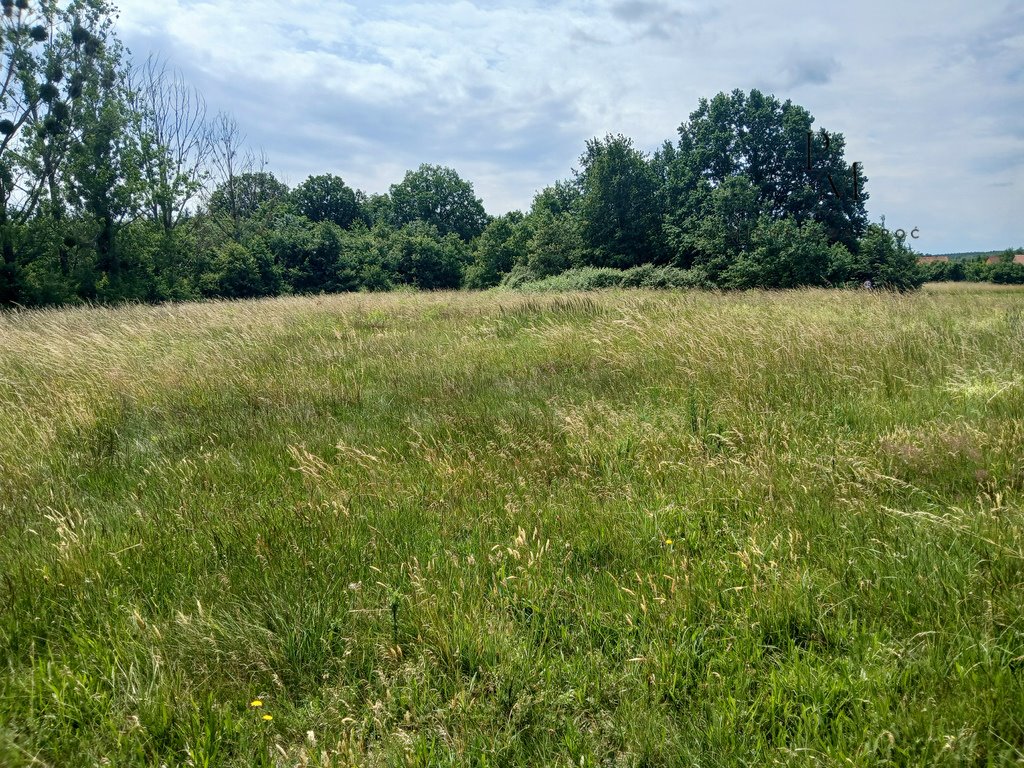 Działka budowlana na sprzedaż Baszyn  2 700m2 Foto 5