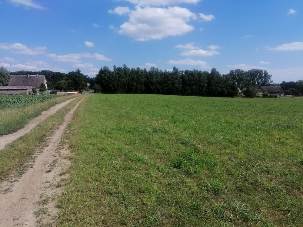 Działka rolna na sprzedaż Dobrzany  148 400m2 Foto 7