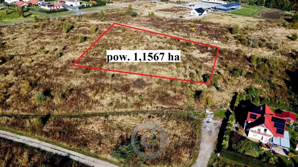 Działka inwestycyjna 11 567 m² z mediami i dobrym dojazdem Kłodawa  11 567m2 Foto 1