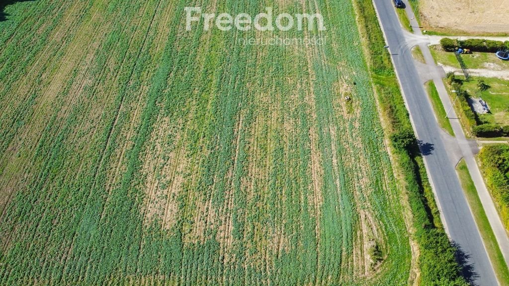 Działka budowlana na sprzedaż Rusowo  1 600m2 Foto 10