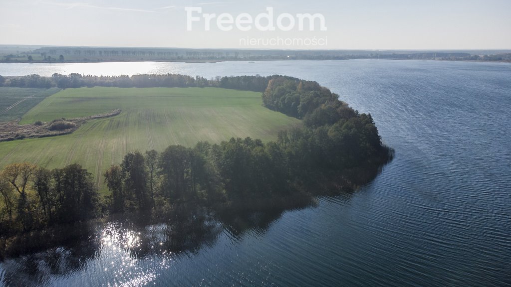 Działka inwestycyjna na sprzedaż Kaliszany  64 700m2 Foto 5