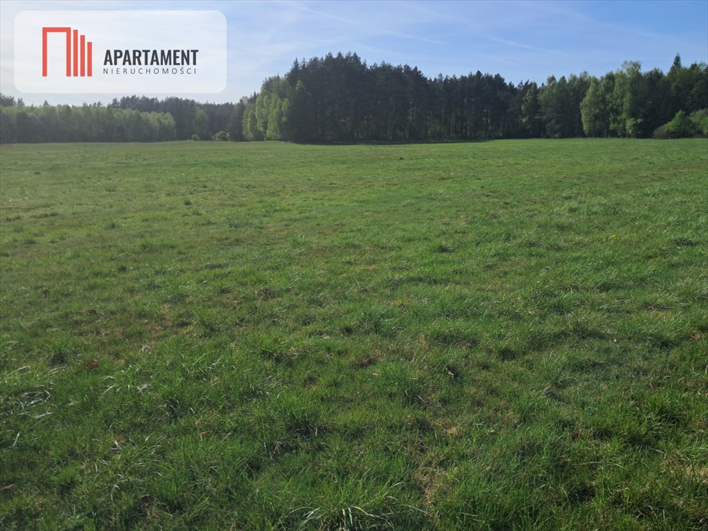 Działka rolna 2,06 ha z dostępem do drogi - polecam Górzna  20 600m2 Foto 1