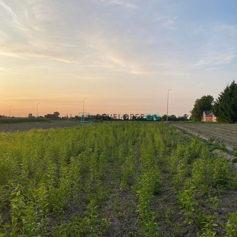 Działka budowlana na sprzedaż Skowieszyn, Puławska  2 000m2 Foto 1