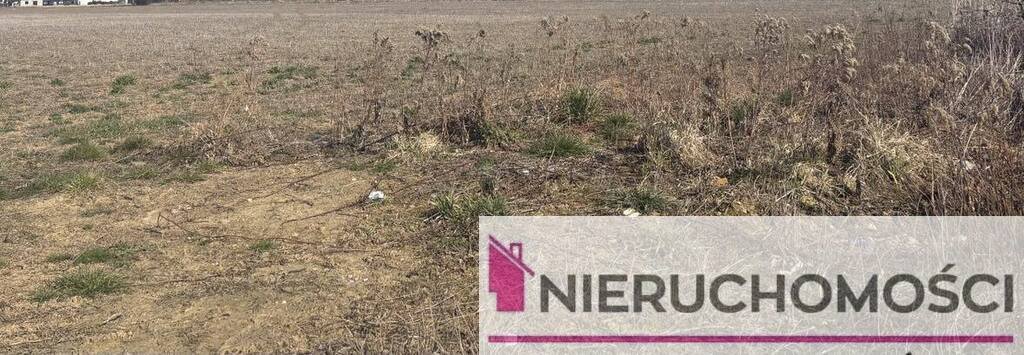 Działka inwestycyjna 2,67 ha z dostępem do drogi Świdnica  26 723m2 Foto 1