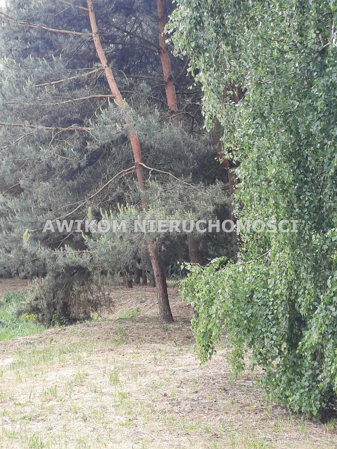 Działka 8 600 m² z stawem, lasem i mediami w Strzyboga Strzyboga  8 600m2 Foto 1