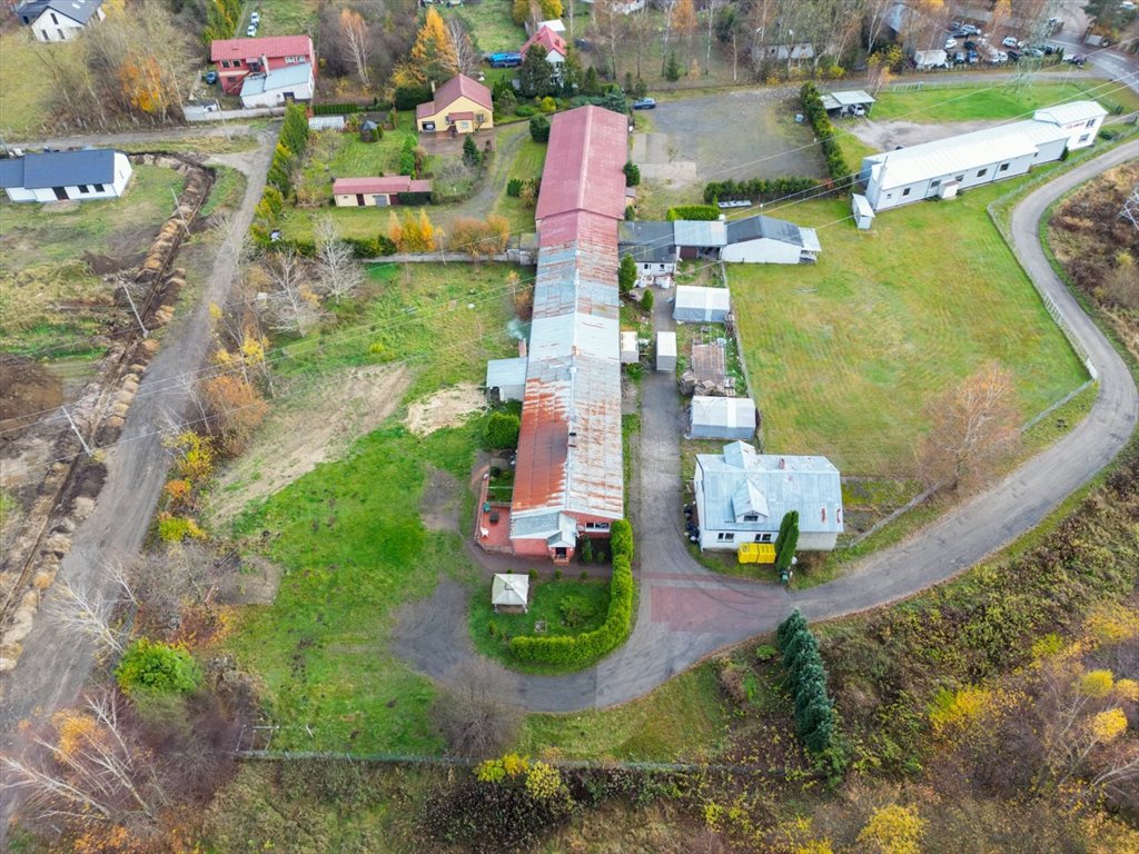 Magazyn na sprzedaż Kobylnica  390m2 Foto 4