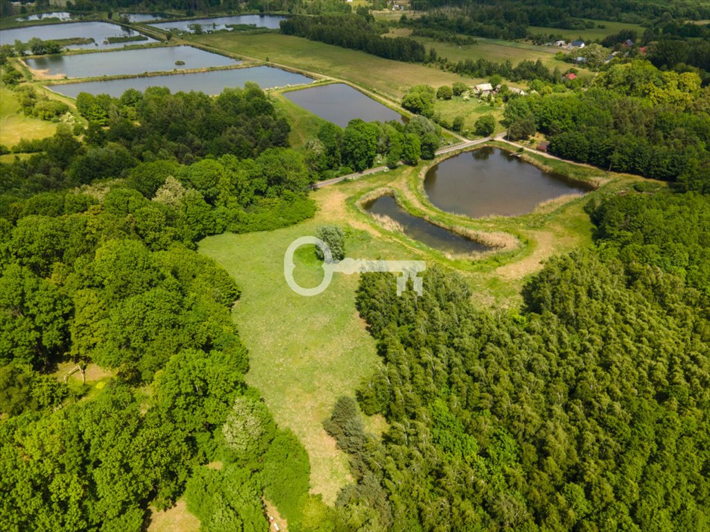 Działka rolna na sprzedaż Radziejowice  9 072m2 Foto 1