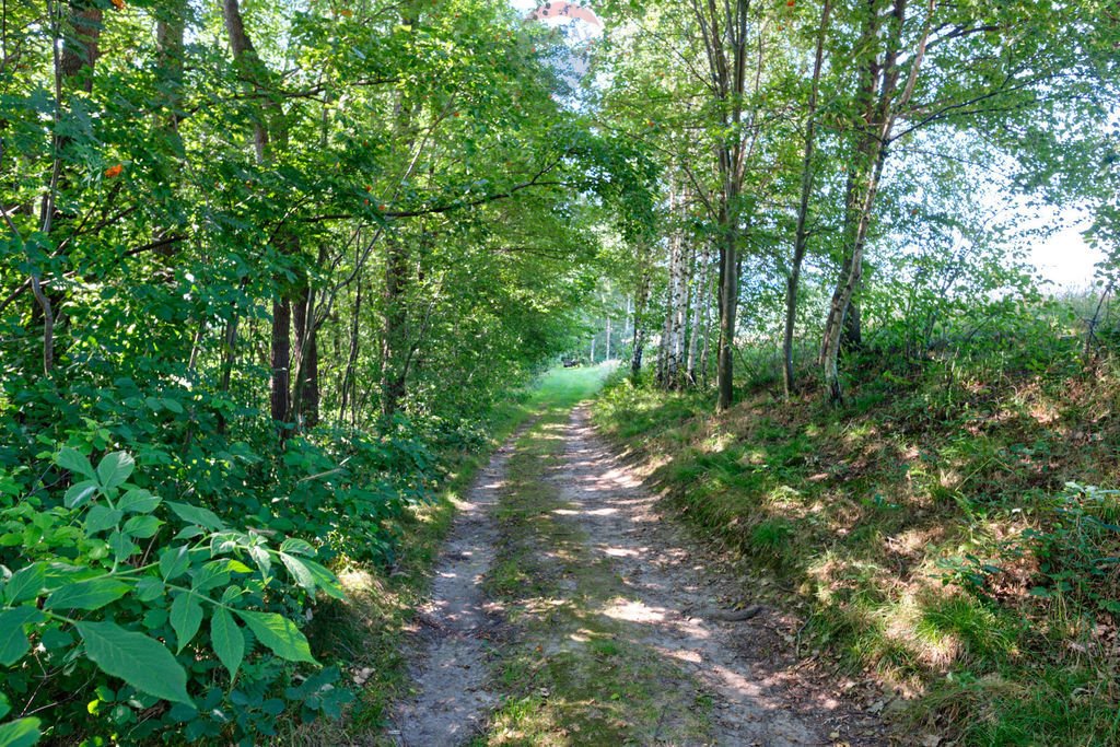 Działka rolna na sprzedaż Czaniec  4 082m2 Foto 20