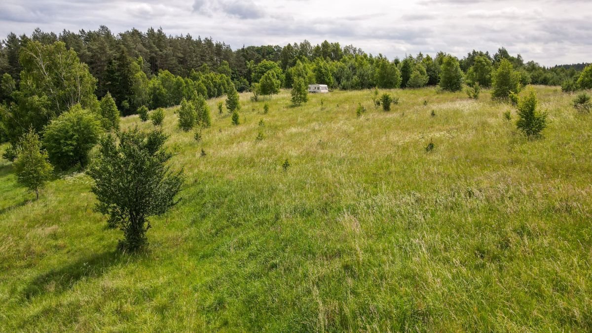 Działka budowlana na sprzedaż Gromadzin  3 143m2 Foto 11