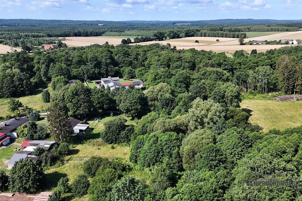 Działka budowlana na sprzedaż Krosino  2 700m2 Foto 4