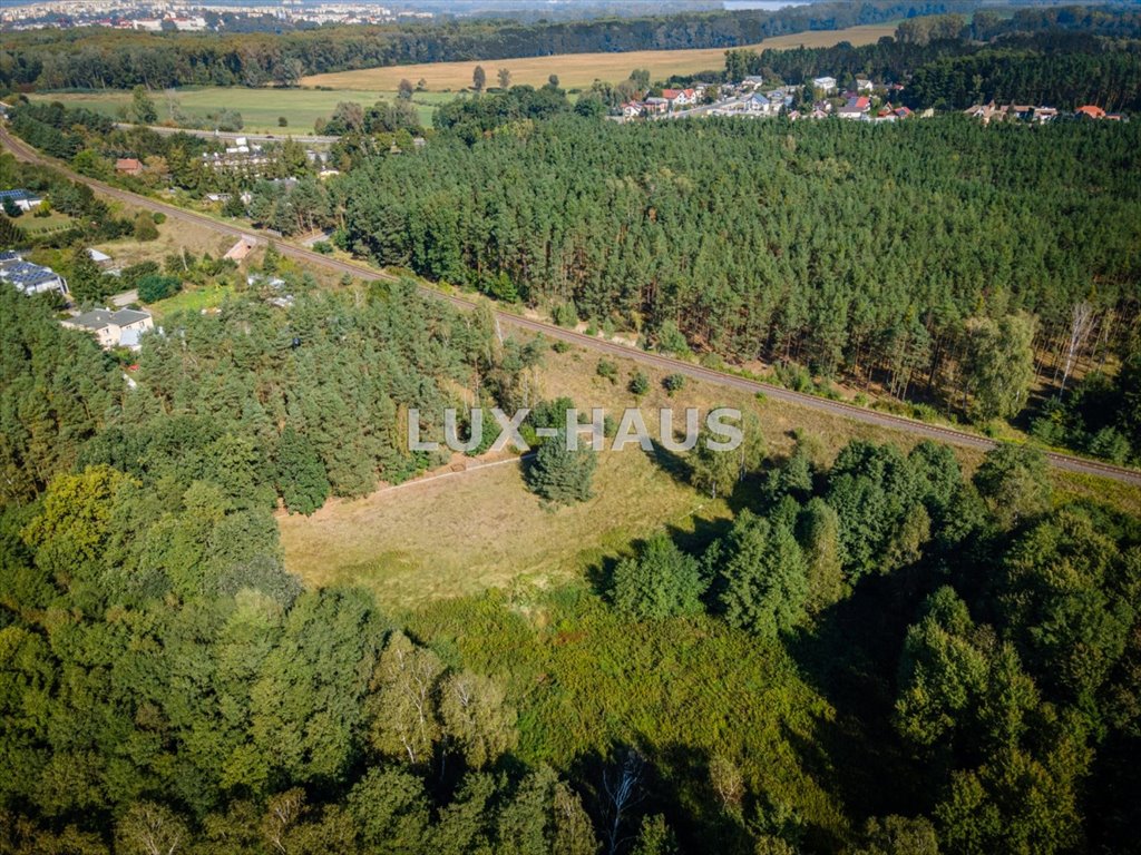 Działka leśna z prawem budowy na sprzedaż Strzyżawa  8 700m2 Foto 4