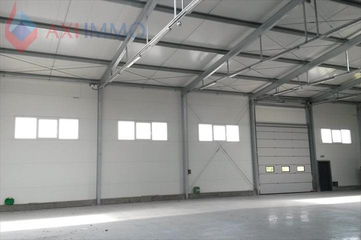 Lokal użytkowy na wynajem Tarczyn 1 000m2 Foto 1 Lokal użytkowy na wynajem Tarczyn 1 000m2 Foto 1