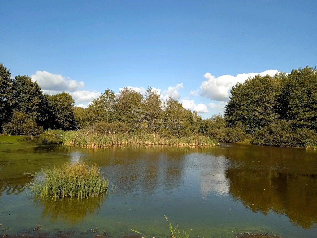 Działka rolna na sprzedaż Grzegrzółki  37 700m2 Foto 10