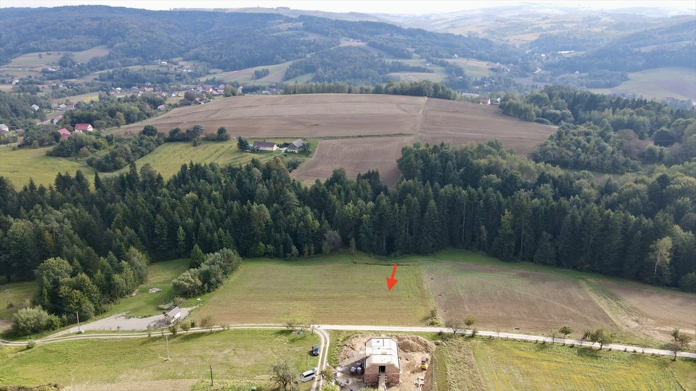 Działka budowlana na sprzedaż Bartkowa-Posadowa  1 836m2 Foto 7