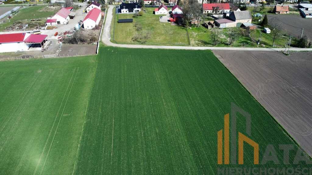 Działka inna na sprzedaż Turów  3 075m2 Foto 6