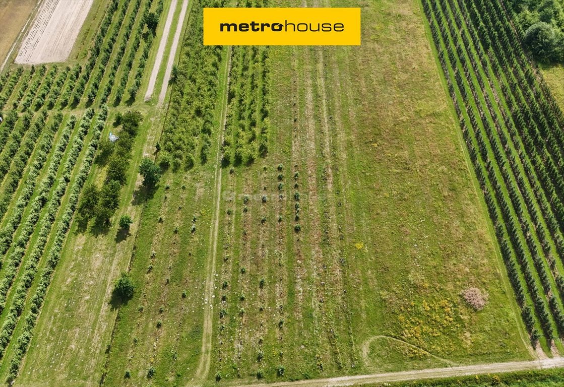 Działka rolna na sprzedaż Potycz  49 964m2 Foto 1