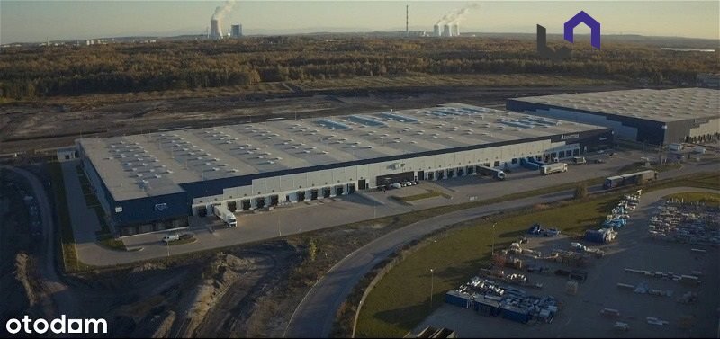 Lokal użytkowy na wynajem Sosnowiec, Dańdówka  6 000m2 Foto 4