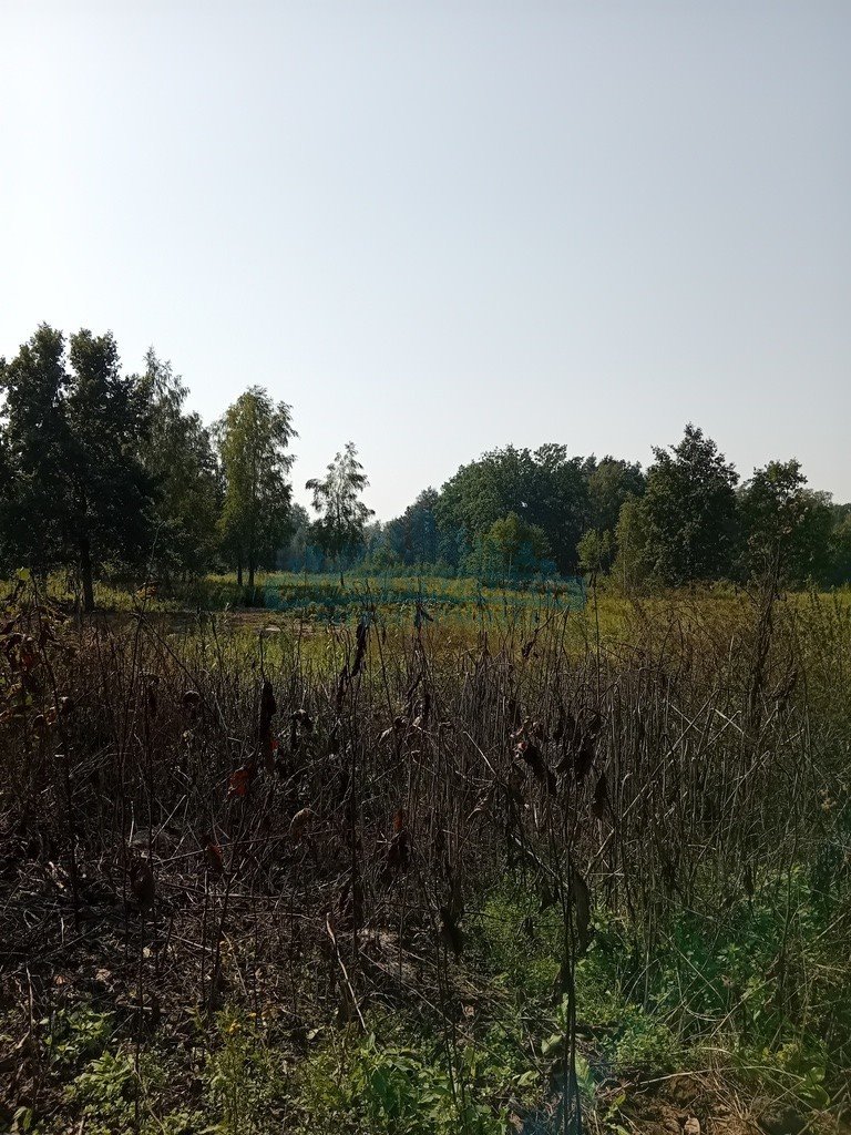 Działka budowlana na sprzedaż Izabelin-Dziekanówek  1 200m2 Foto 10