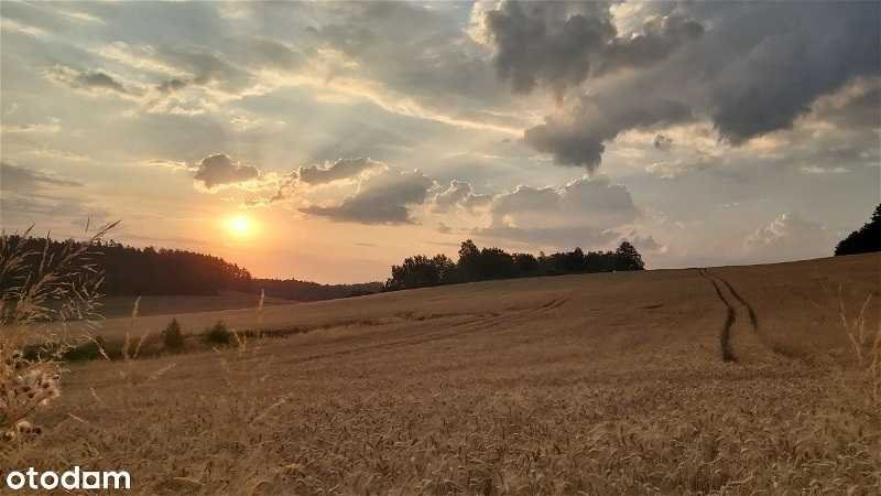 Dom na sprzedaż Myśliszów, Myśliszów  35m2 Foto 18