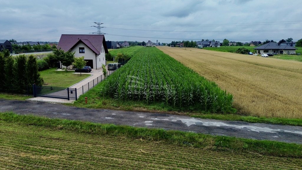 Działka budowlana na sprzedaż Paniówki, Skotnicka  2 500m2 Foto 5