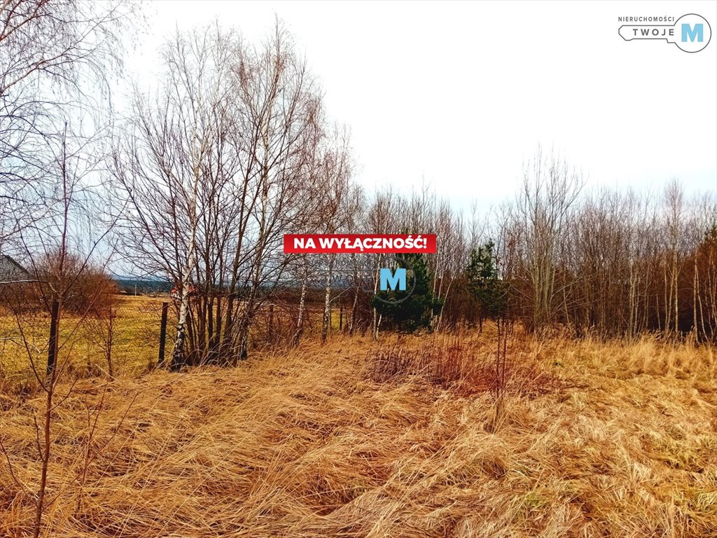 Działka inna na sprzedaż Bodzentyn, Wilków  4 400m2 Foto 2