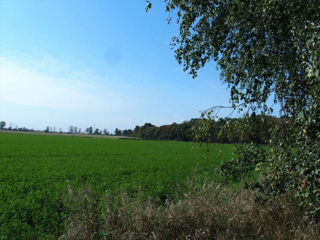 Działka budowlana na sprzedaż Ceradz Dolny  1 060m2 Foto 10