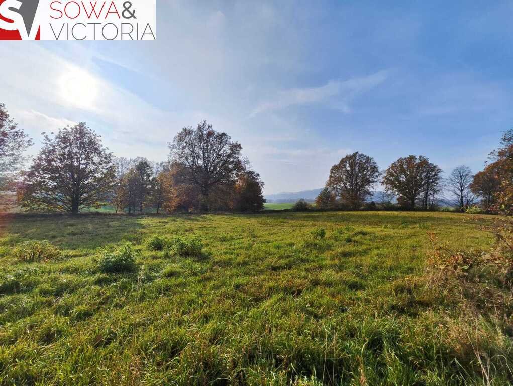 Działka inna na sprzedaż Górczyca  1 700m2 Foto 6