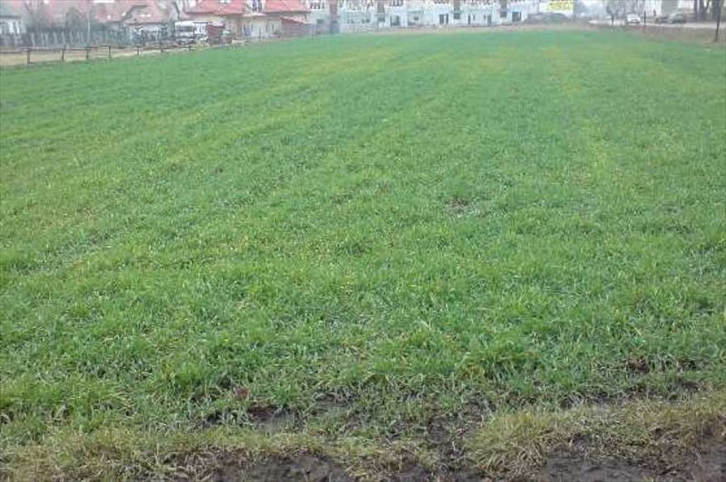 Działka inna pod dzierżawę Warszawa, Wawer, Miedzeszyn 13 500m2 Foto 1 Działka inna pod dzierżawę Warszawa, Wawer, Miedzeszyn 13 500m2 Foto 1